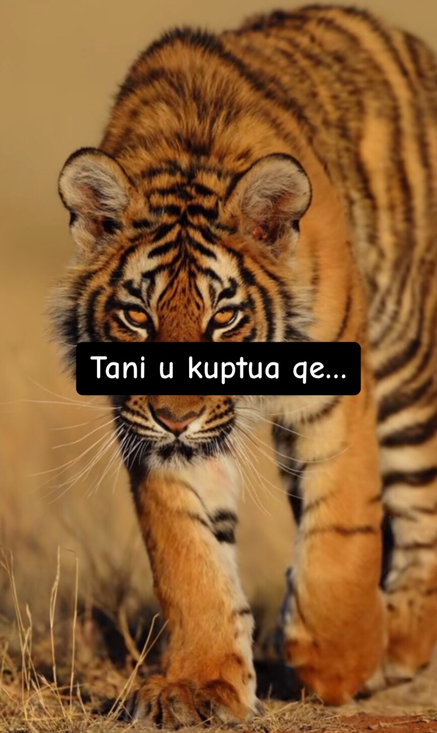 @Sheval 007๐บ๐ธ