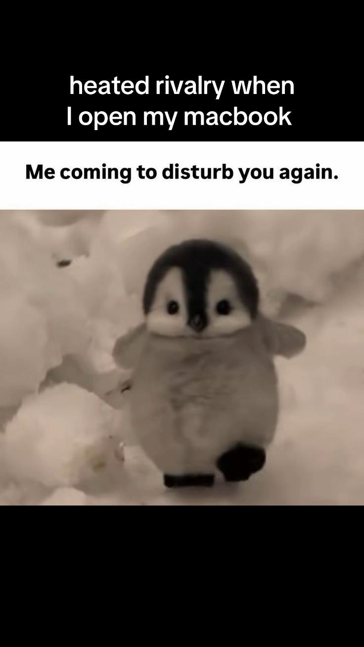 @orlamccool8909