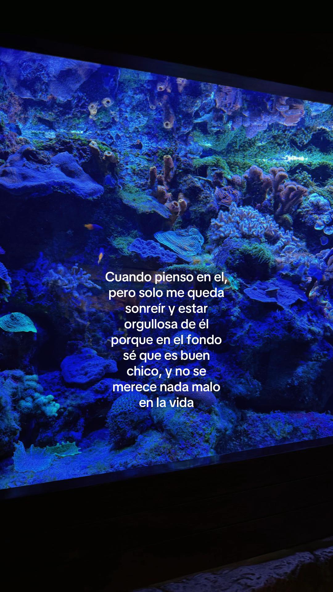 @Brii★