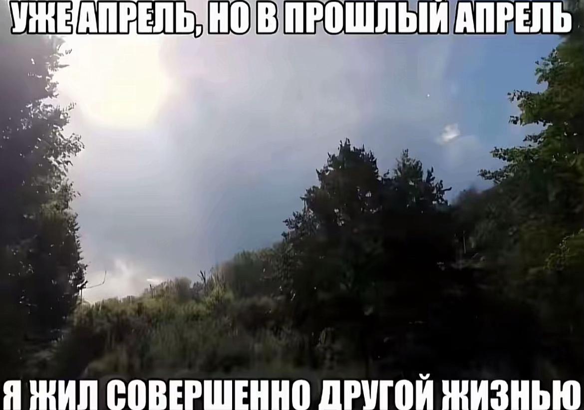 @Тгк Души меня, Тоша