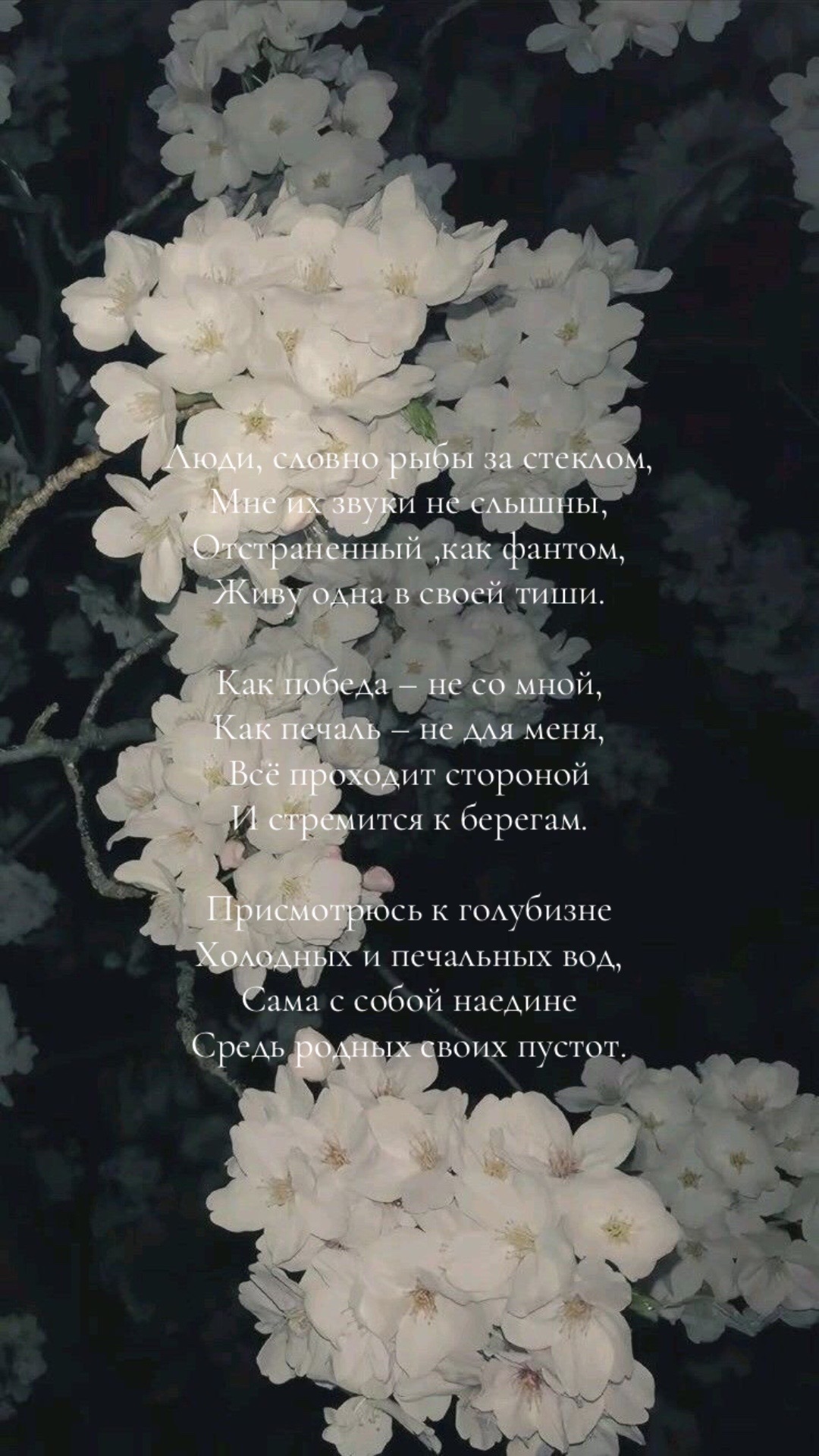 @Трагикомедия
