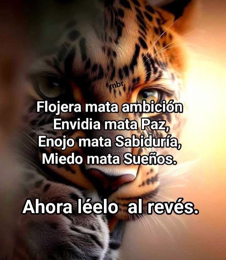 @🪐🪐SAMARRIPA❤️&zwj;🔥🌻💚🇺🇸