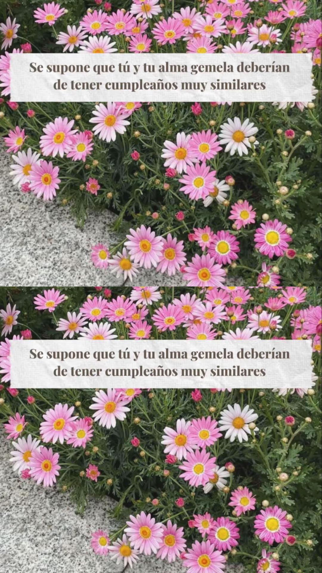 @Viviana 🧚♀️
