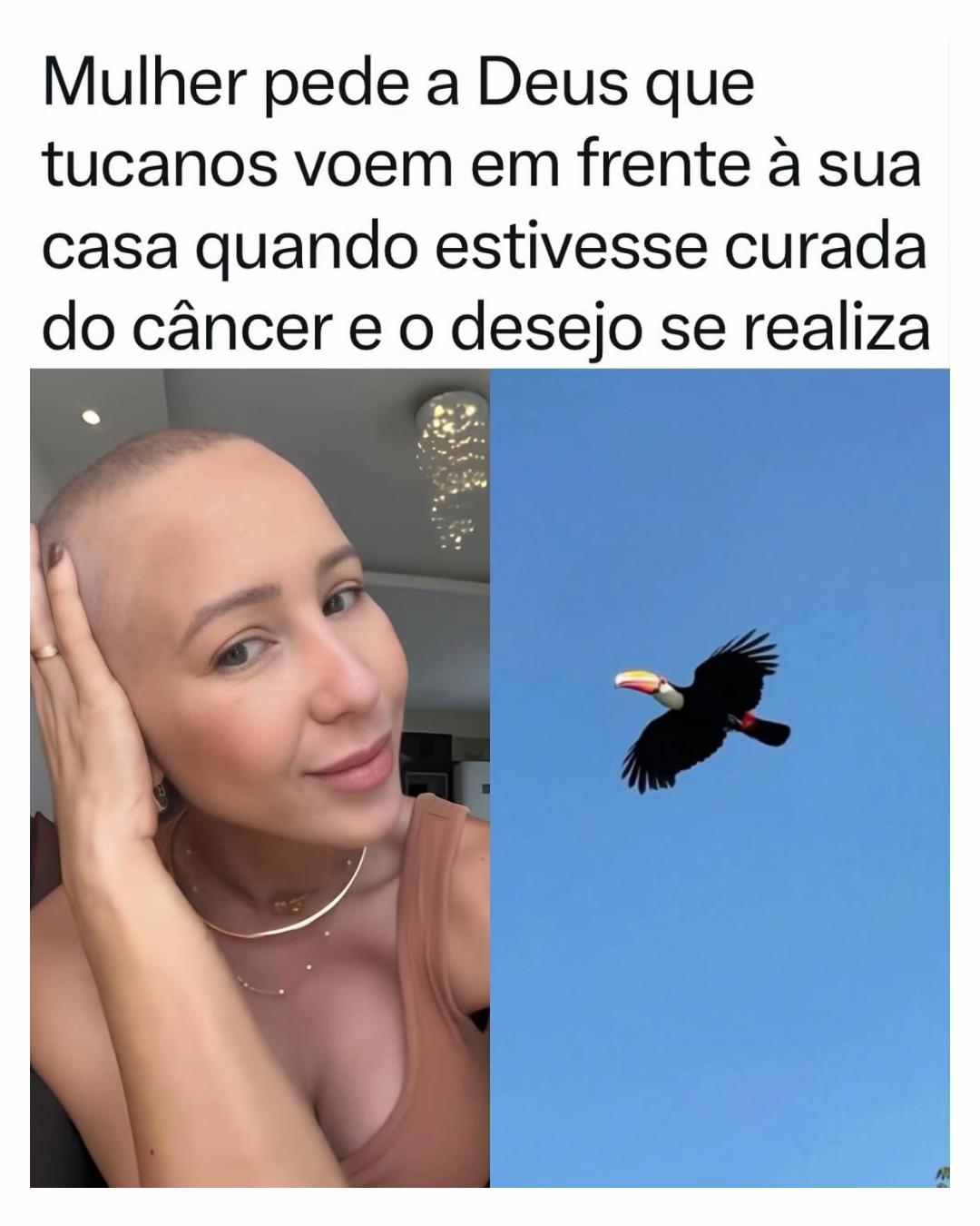@Alfinetei