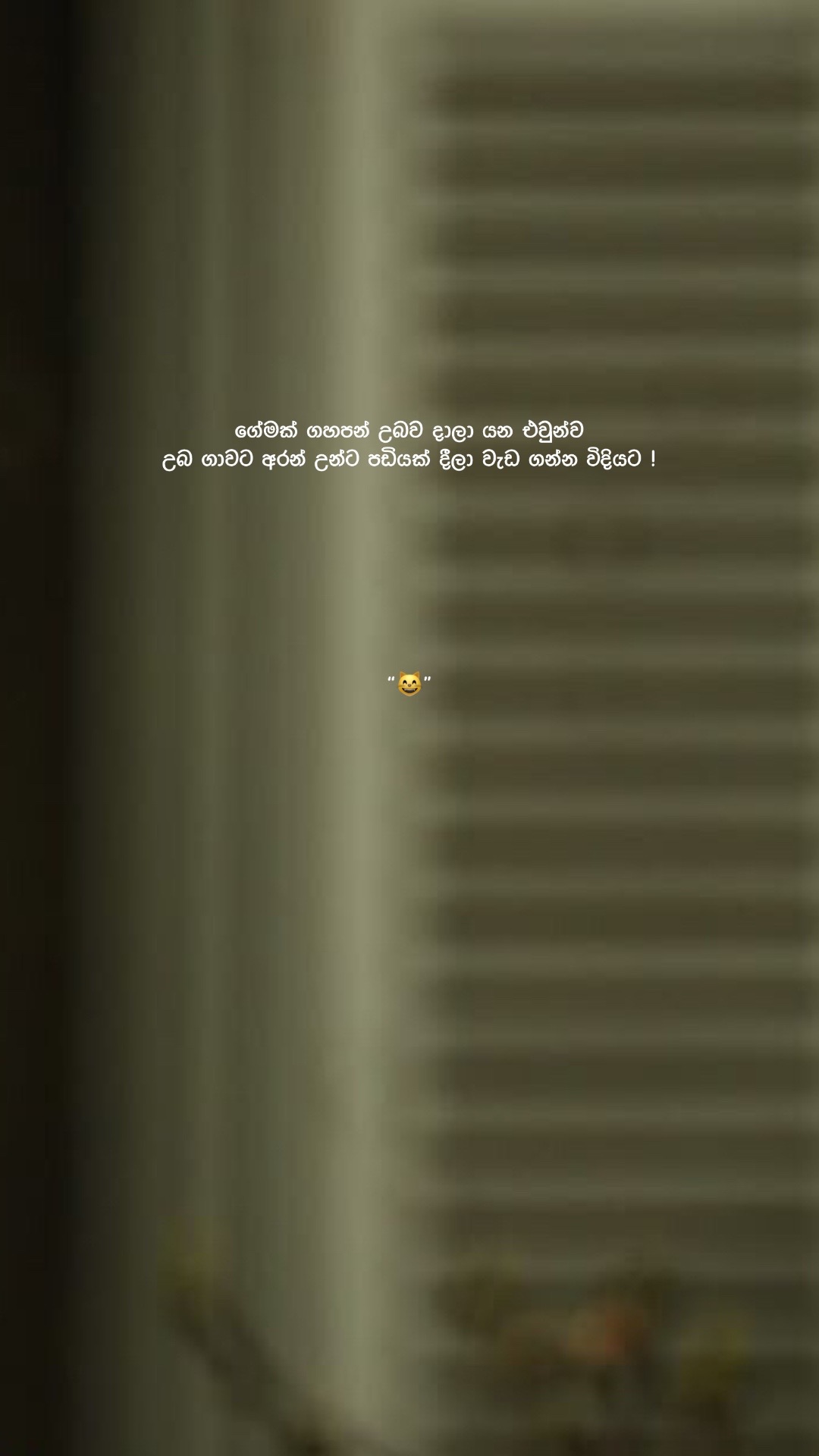 @Ꮪꪖꪀꪊ 👤&rdquo;