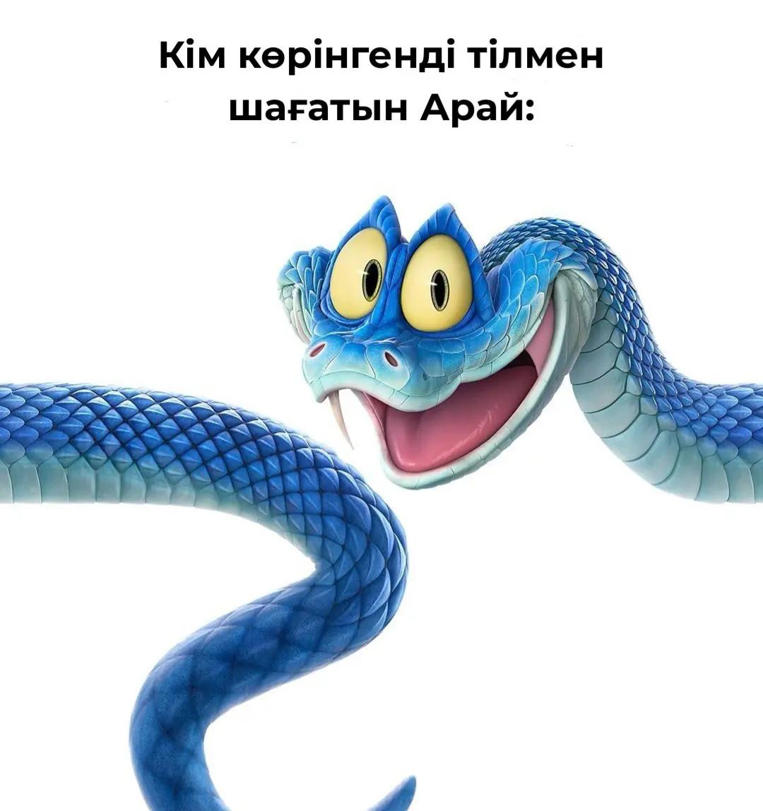 @N_K_00🧃
