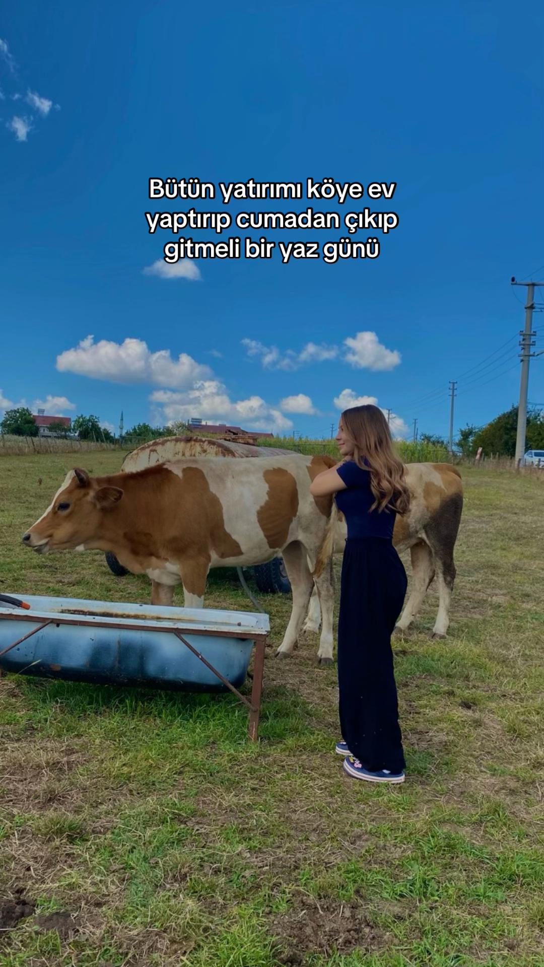 @Tuana
