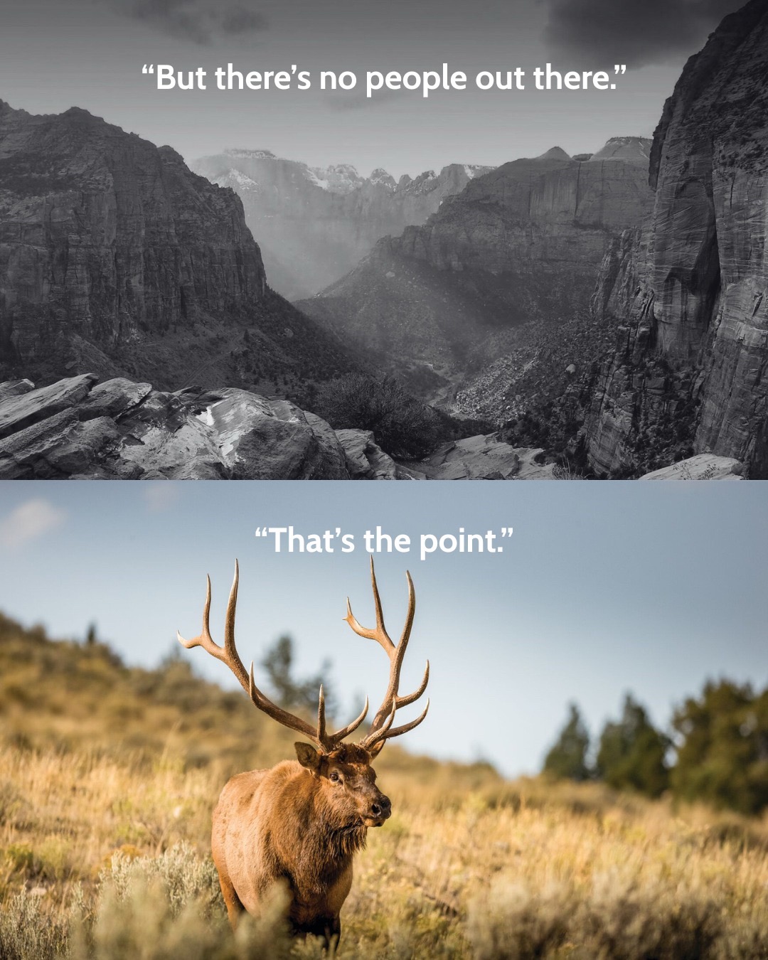 @bassproshops