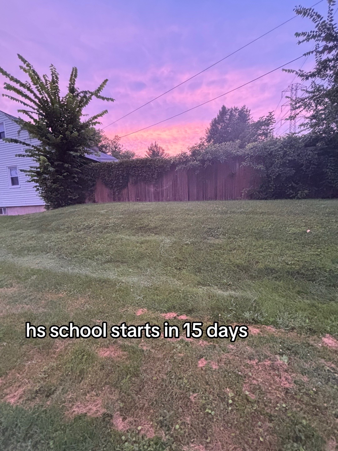 @renistuff