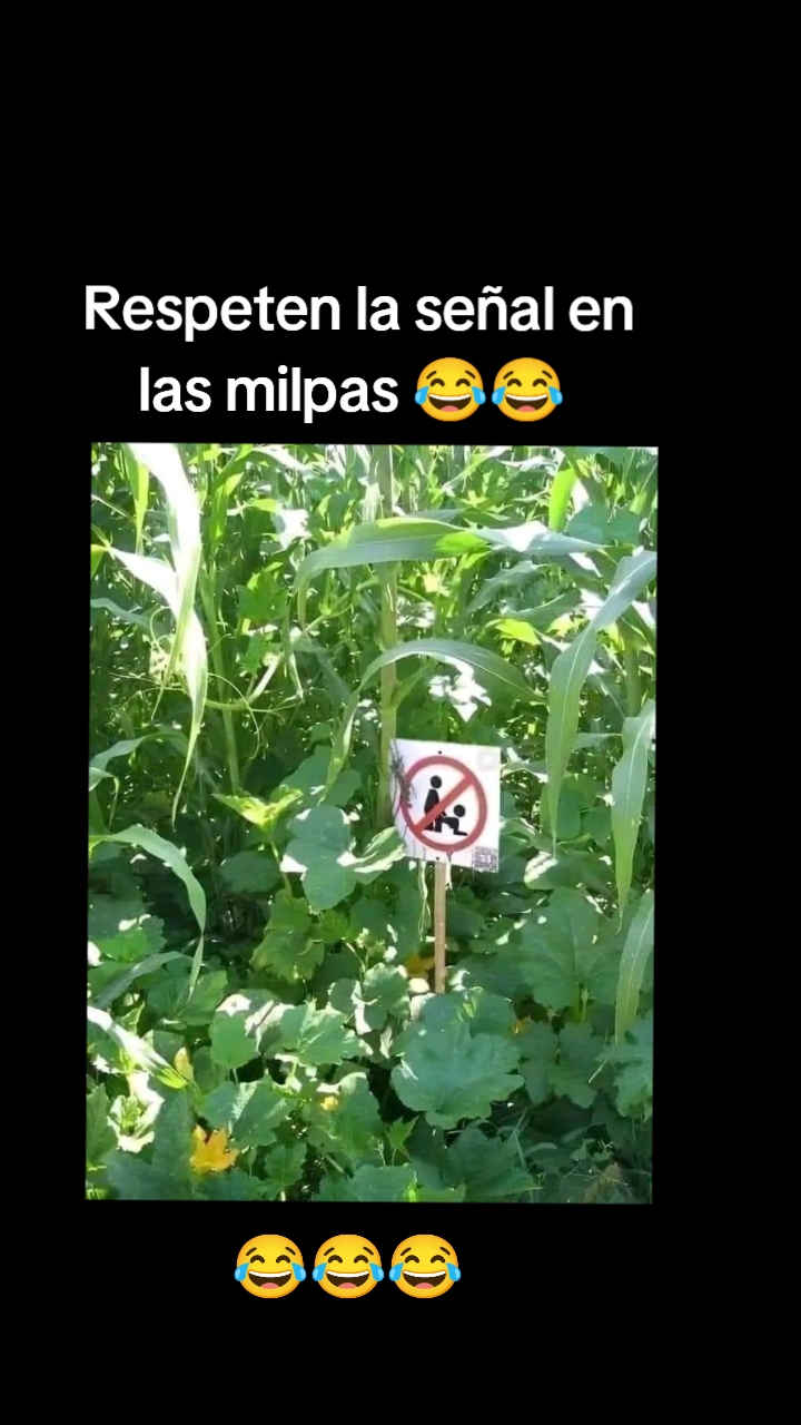 @CARLOS MART&Iacute;NEZ