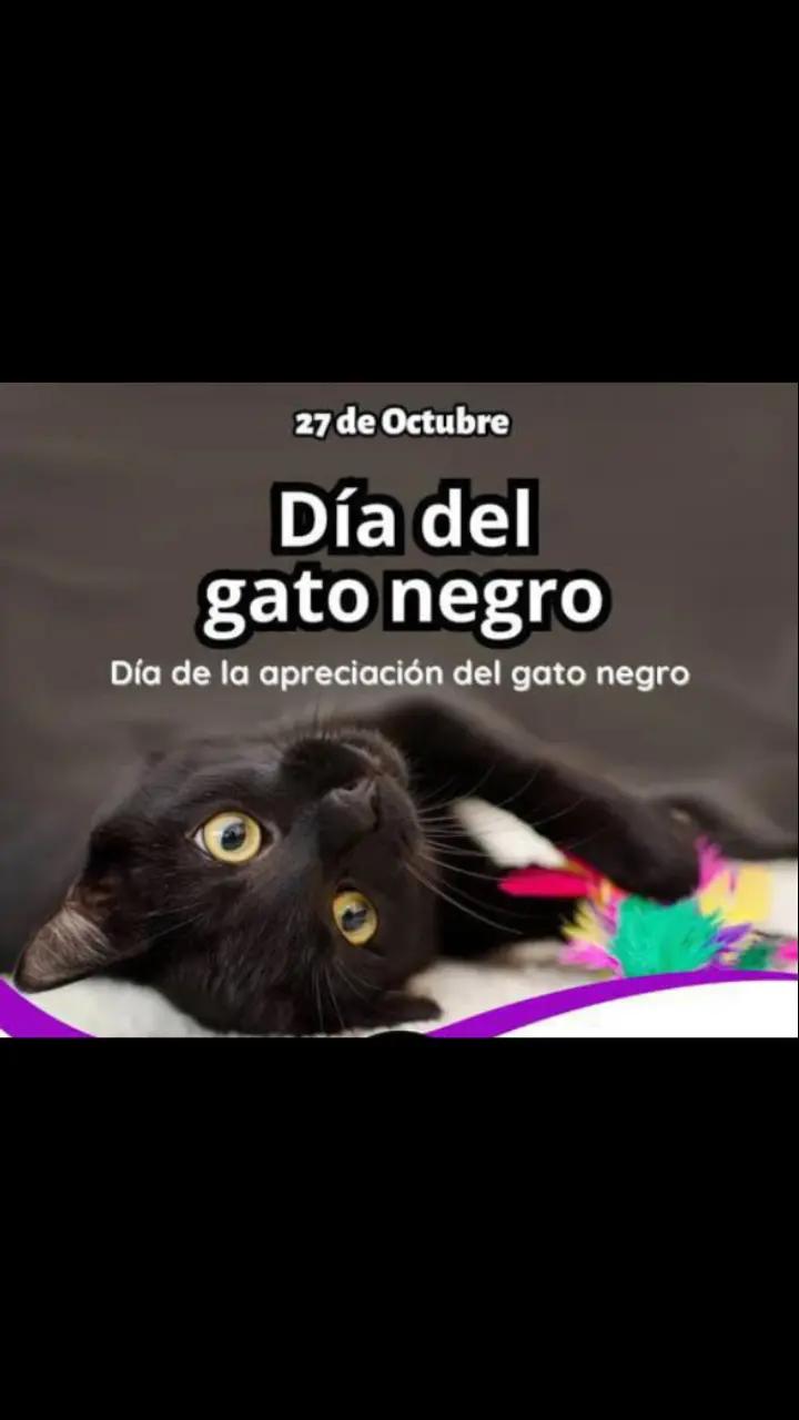 @Willer Andres Villar