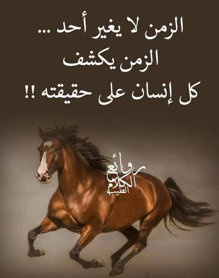 @I NAS🌺 NURE🌹🌺🌺