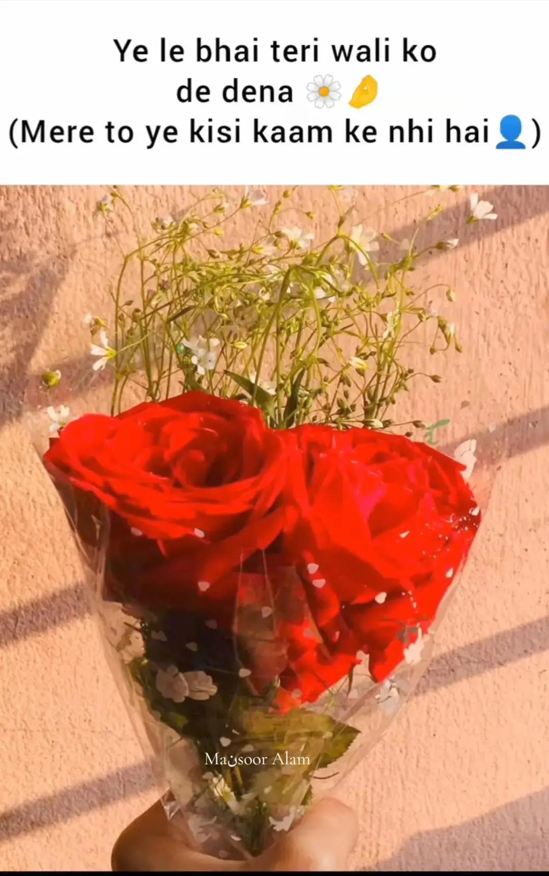 @Maنsoor Alam🥀♥️