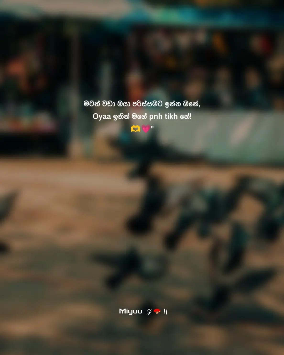 @𝐌𝐢𝐲𝐮𝐮 𝓩 🪭 !¡