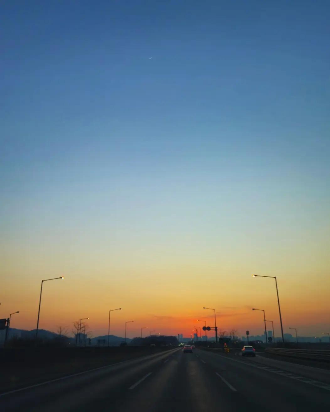 @독싸 &bull; 개인 트레이더