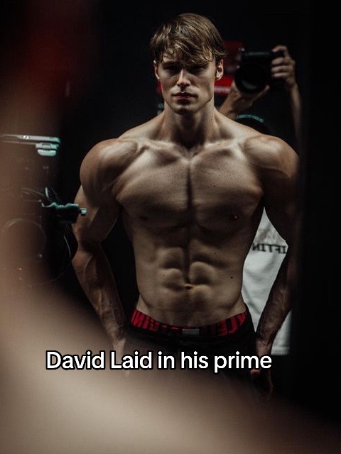 @elv_aesthetics