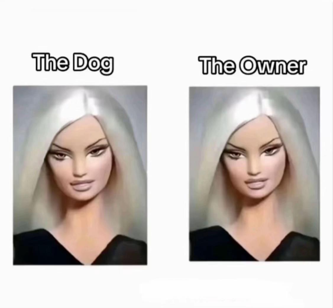 @andjela