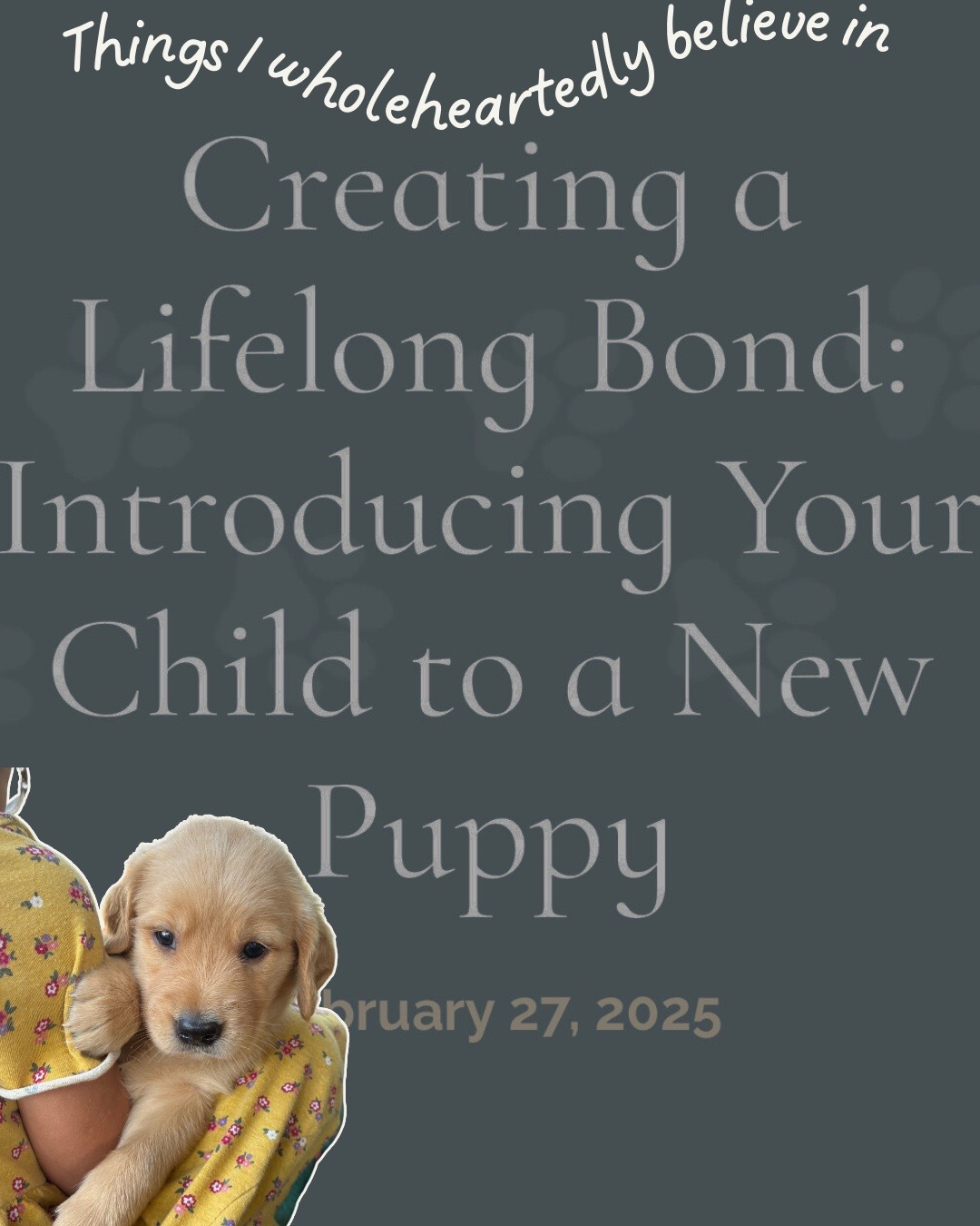 @Furry Tailed Friends NC
