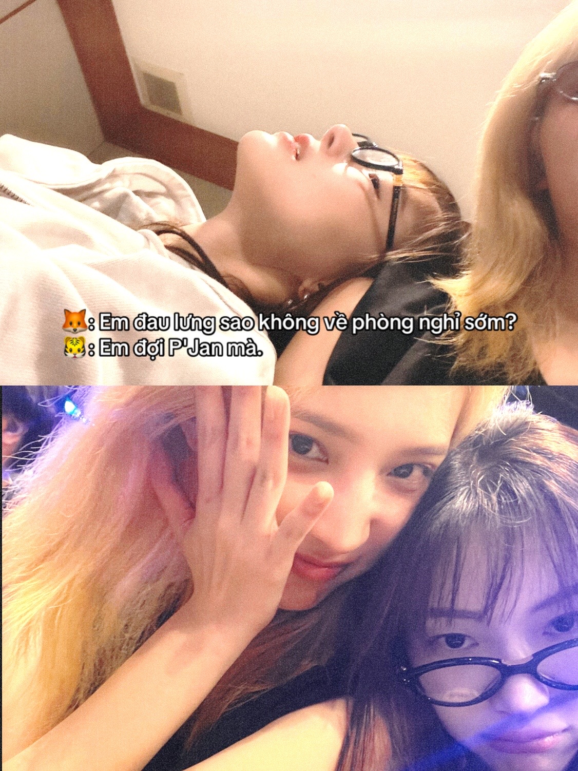 @🐱