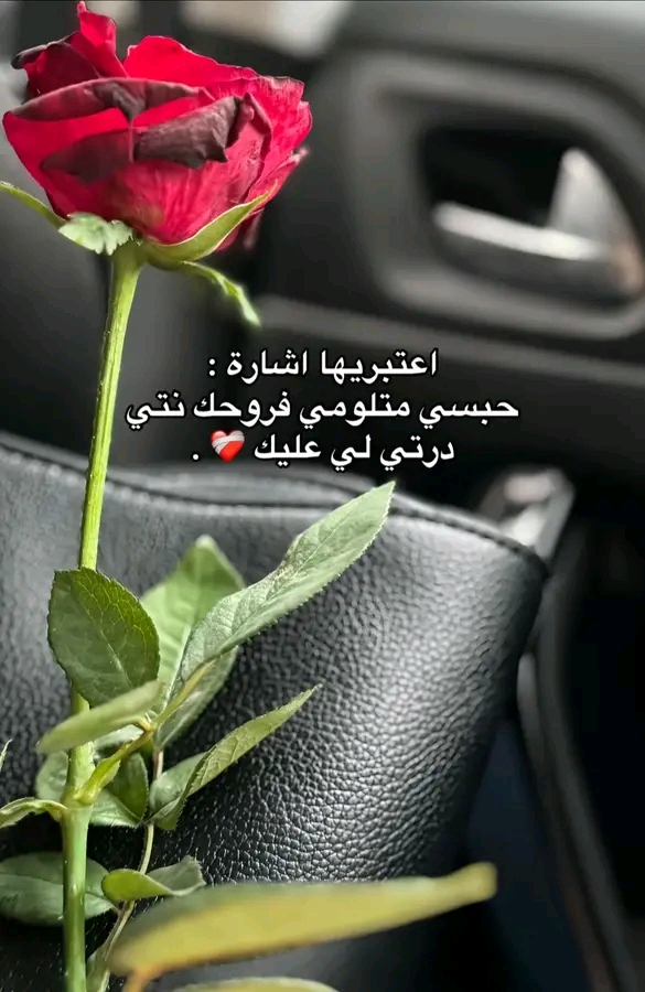 @โค๏ธ๐ฉน♥๏ธ