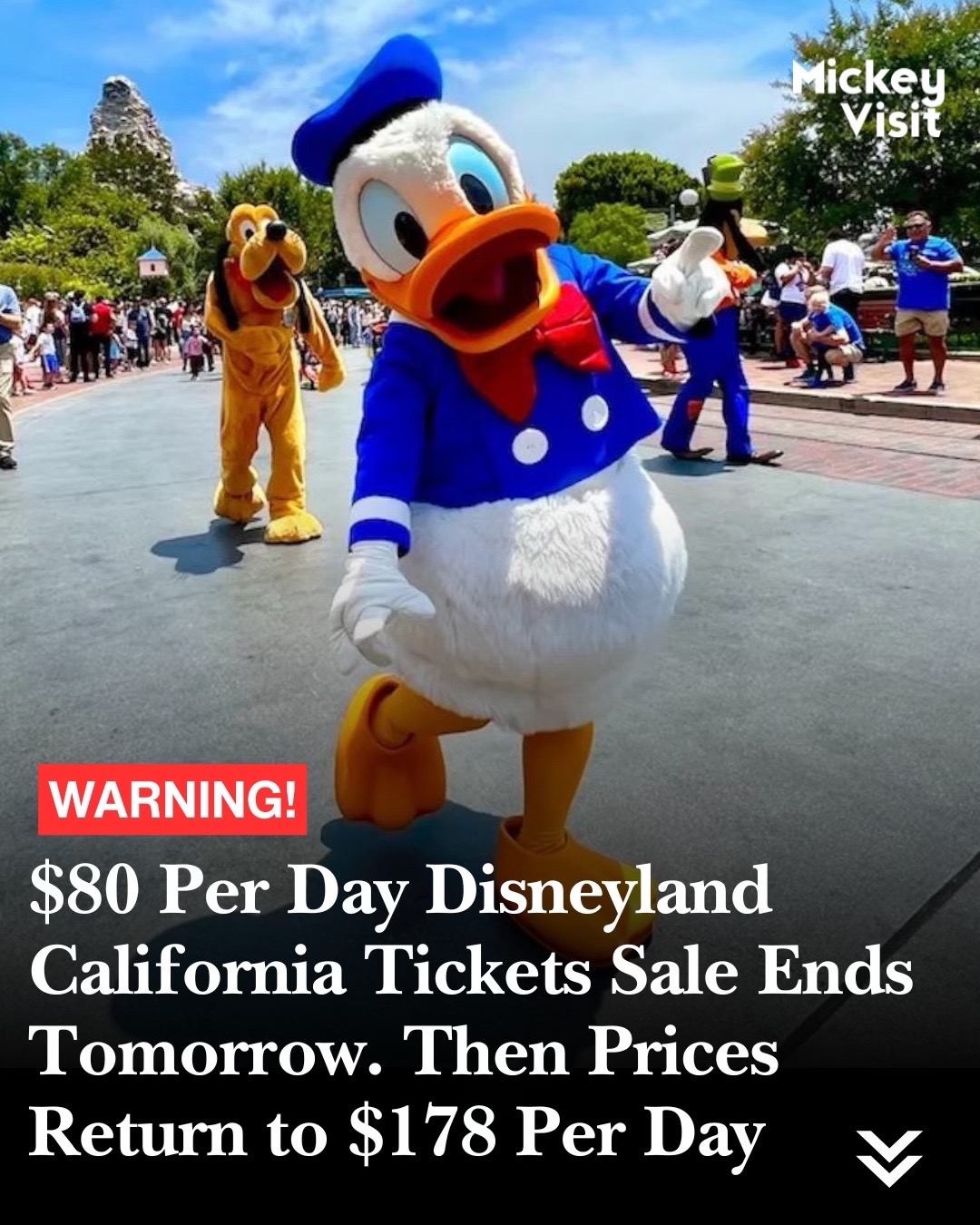 @Mickey Visit: Disney Guide!