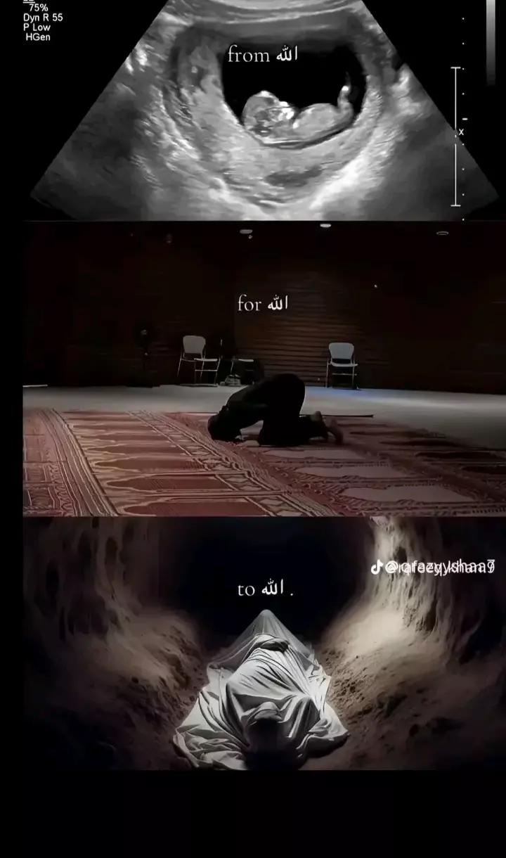 @ReحmAن juTt