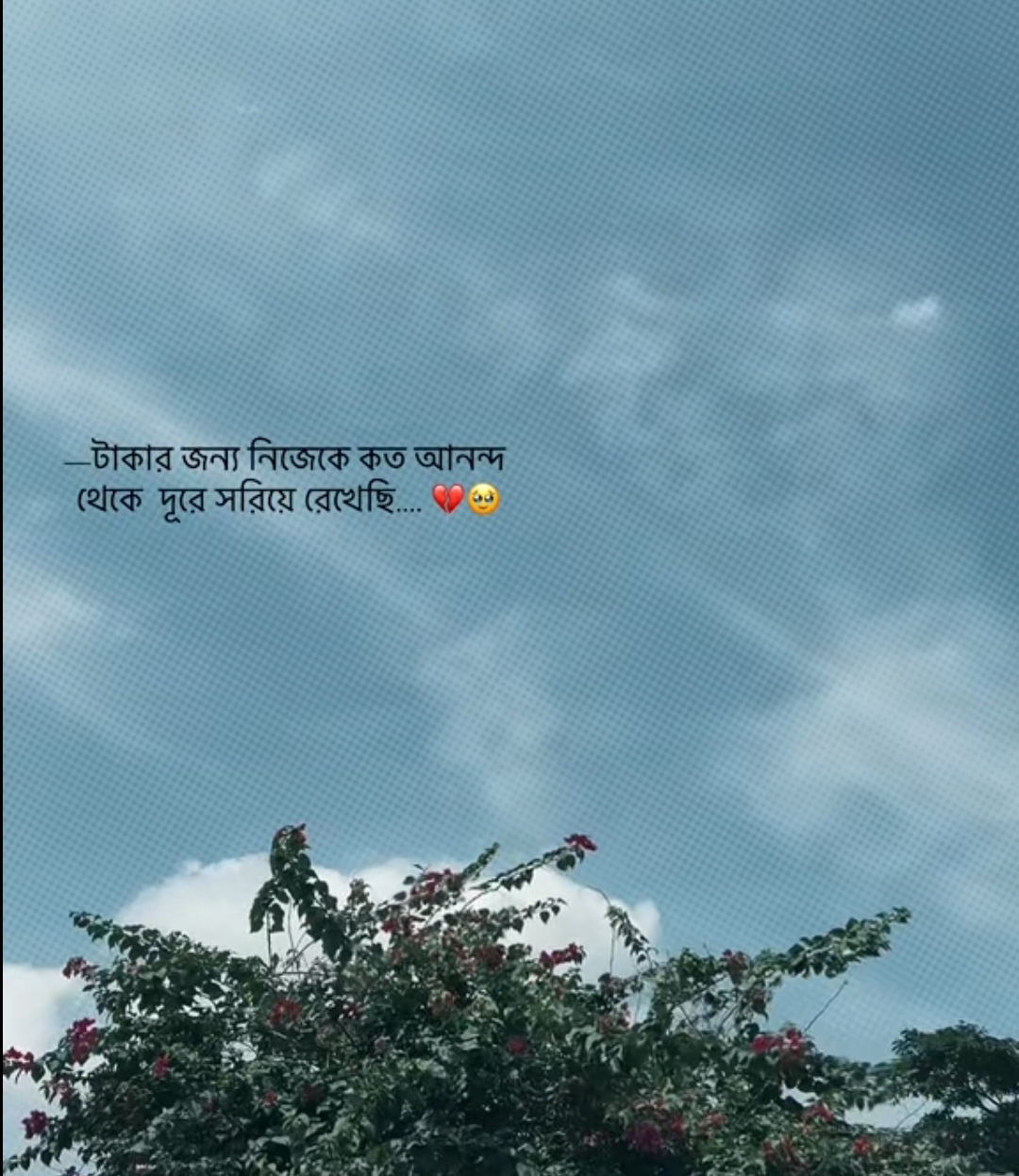 @Mohammad Ullah