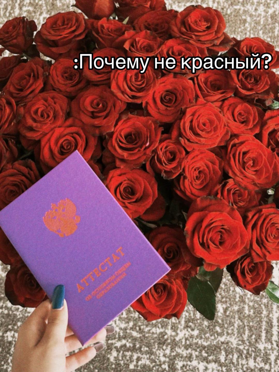 @viky🪬