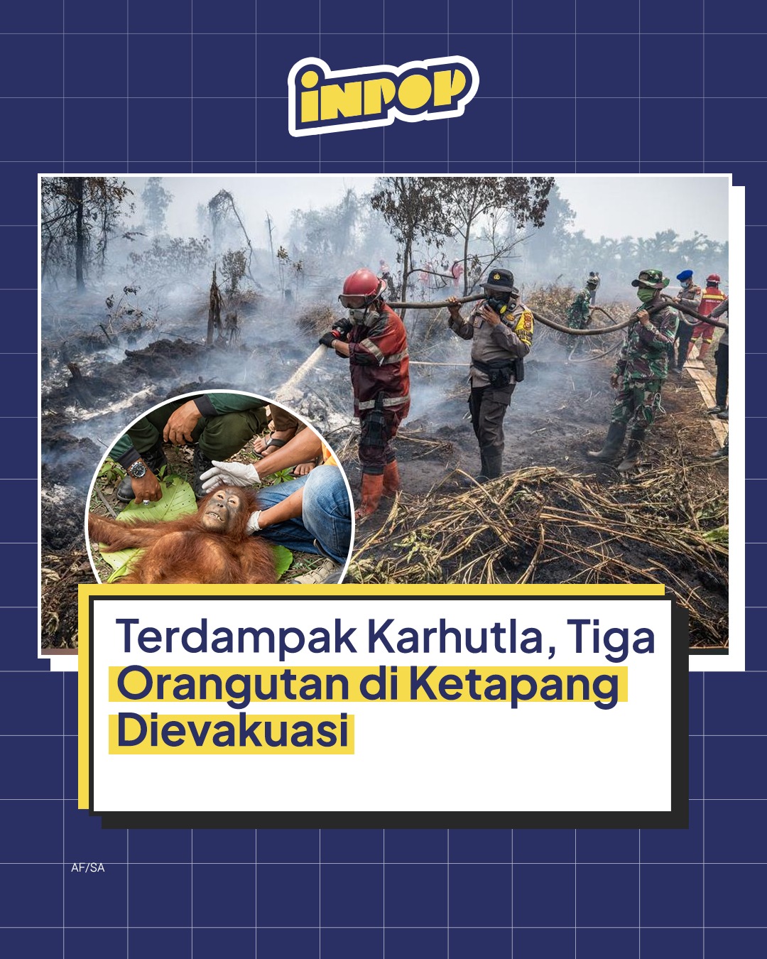@inpopmedia