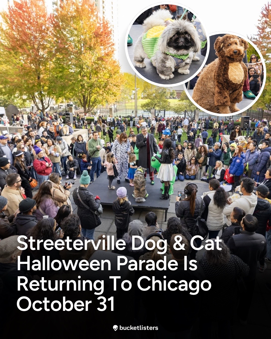 @Chicago Bucket List