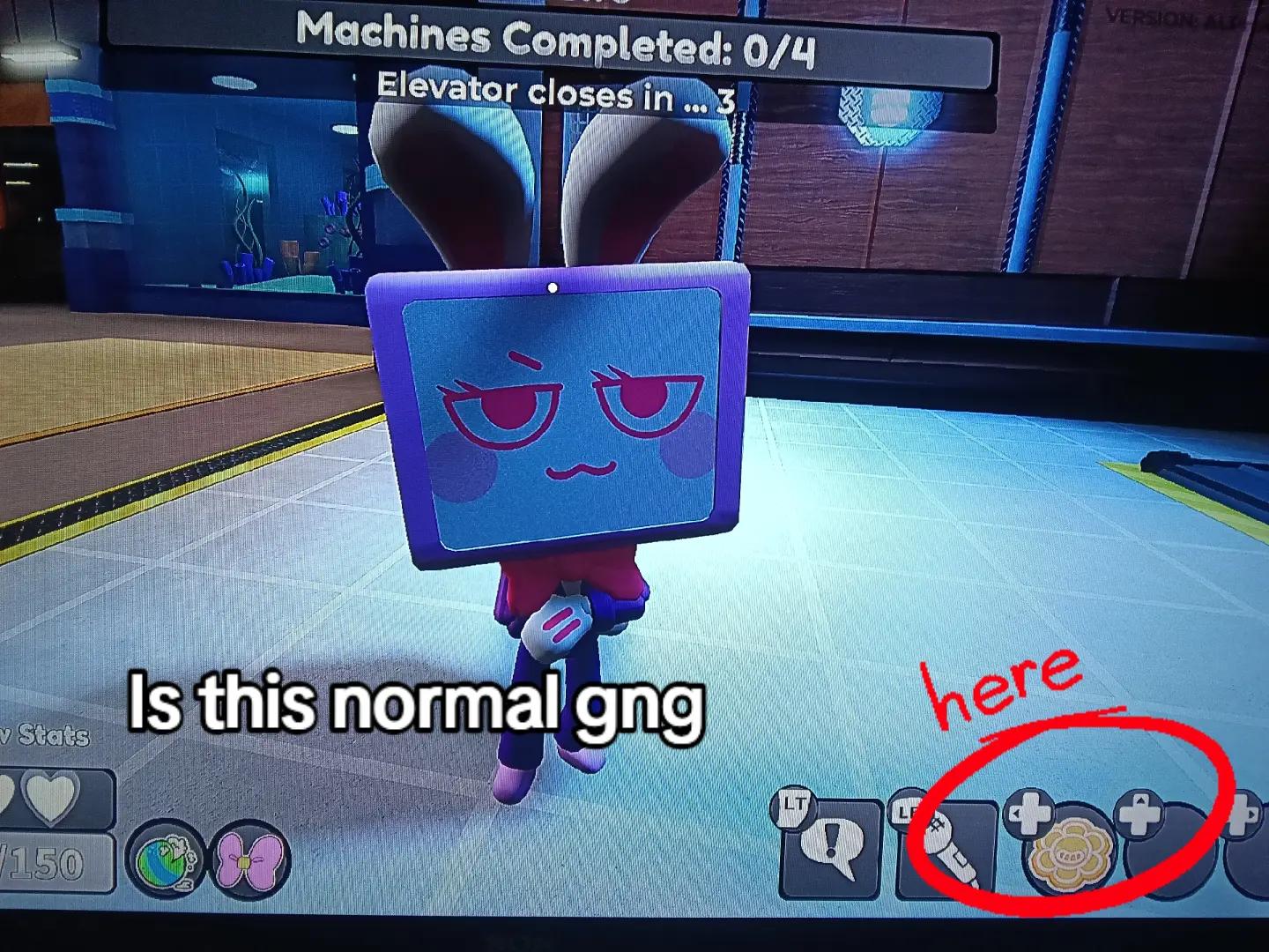 @▼・ᴥ・▼