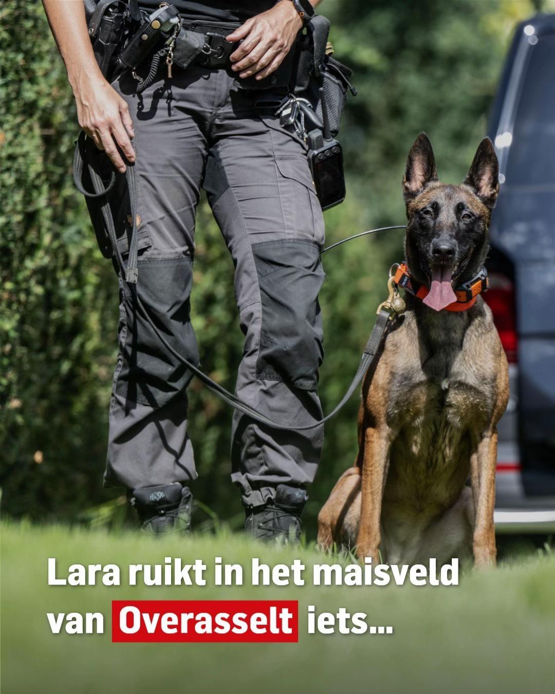 @De Stentor