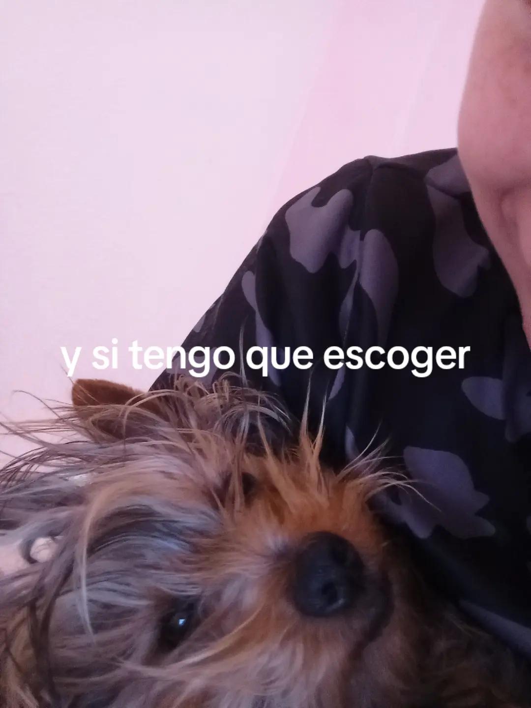 @𝓽𝓸𝓶𝓪𝓽𝓲𝓽𝓸