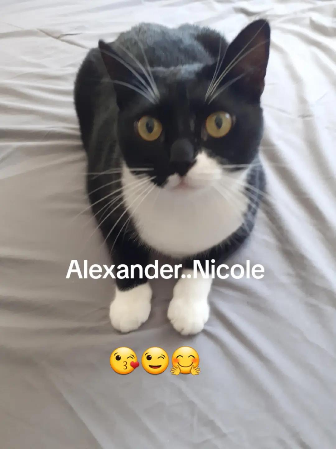 @Alexander..Nicole