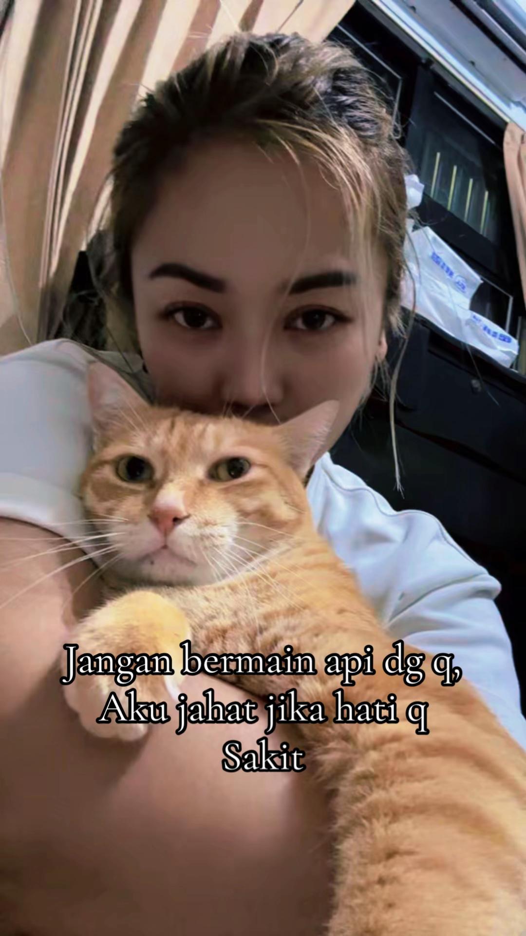 @@demit_jembernese🇹🇼