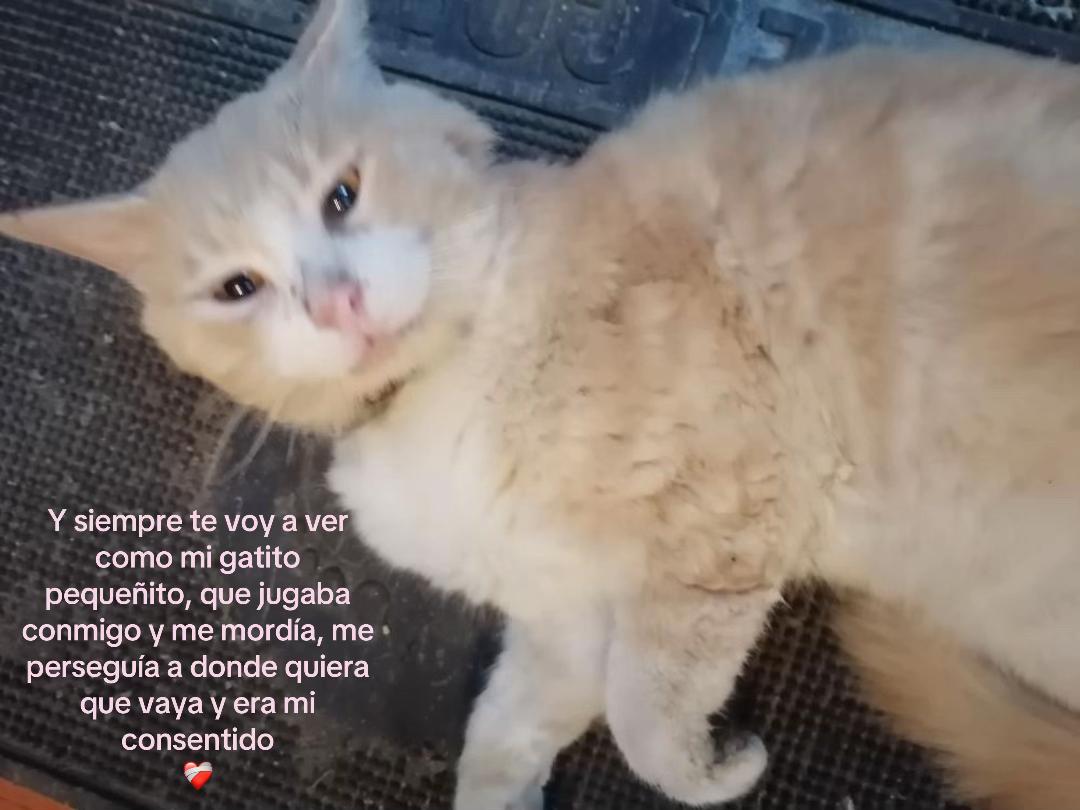 @adrimiu