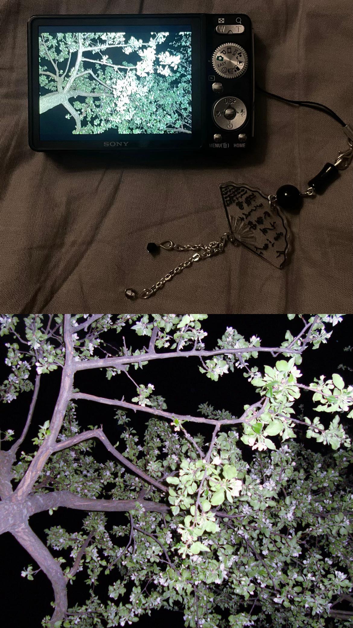 @ктя💤