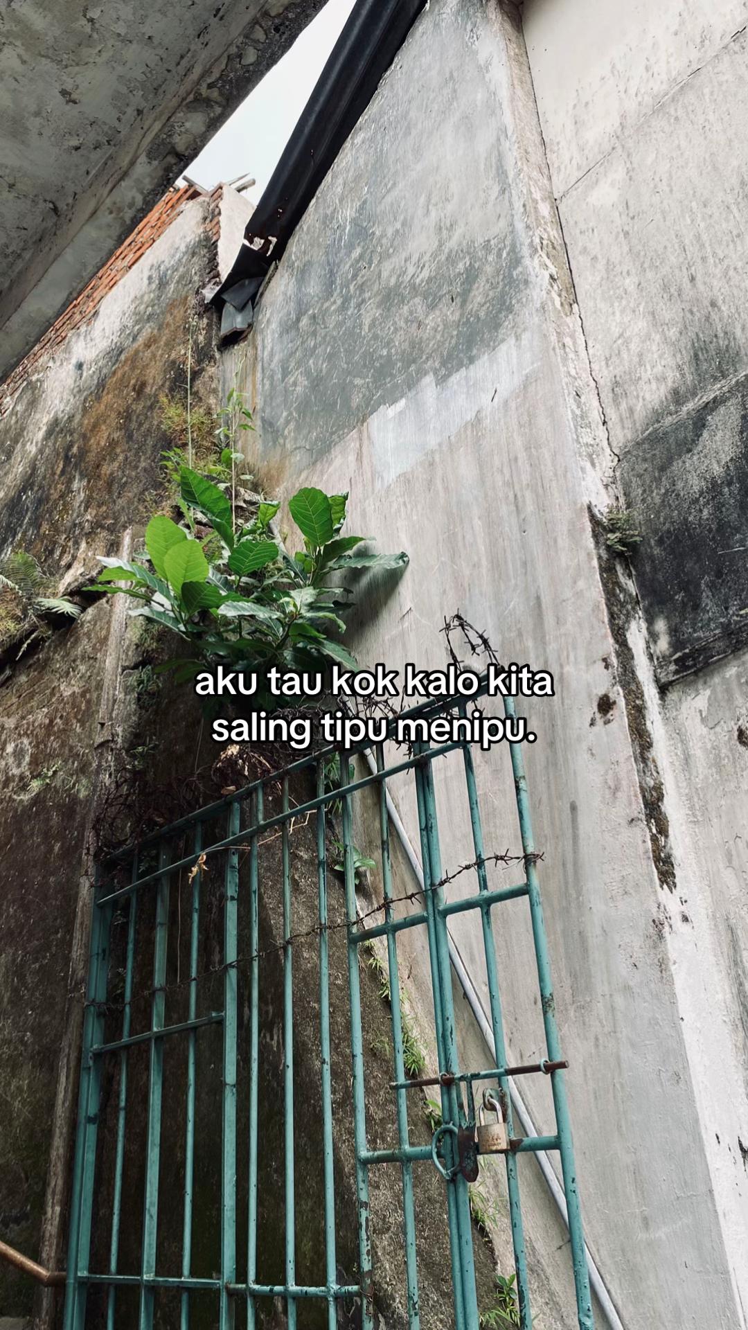 @ꪶ ꪮ ρ ρ ꪗ