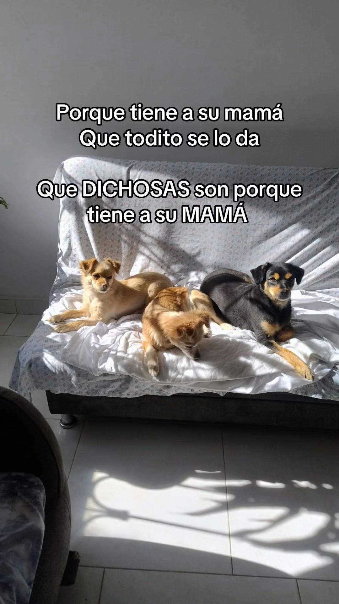@Im.GinaPaola