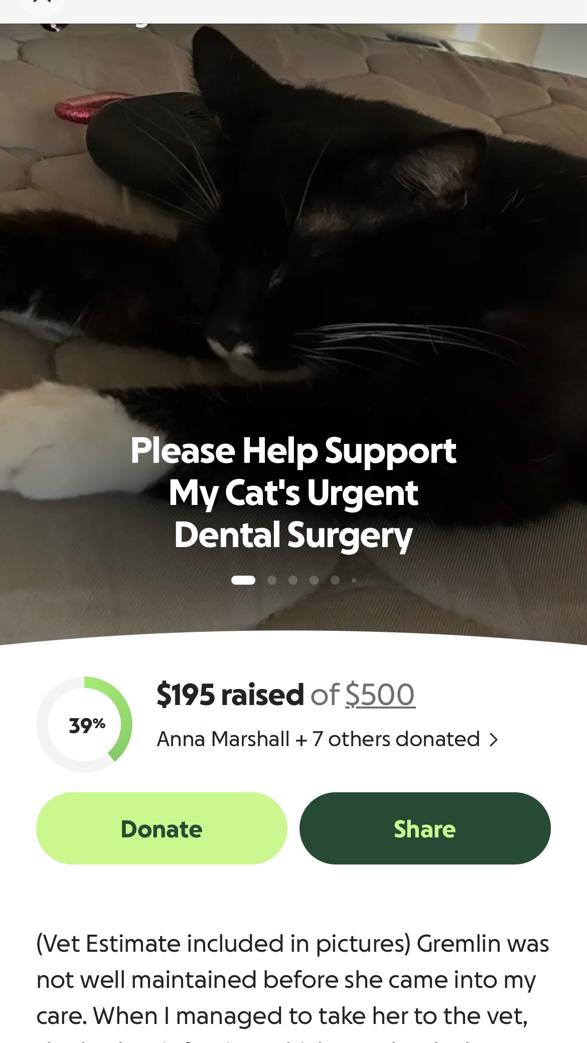 @Gremlin_Fundraiser