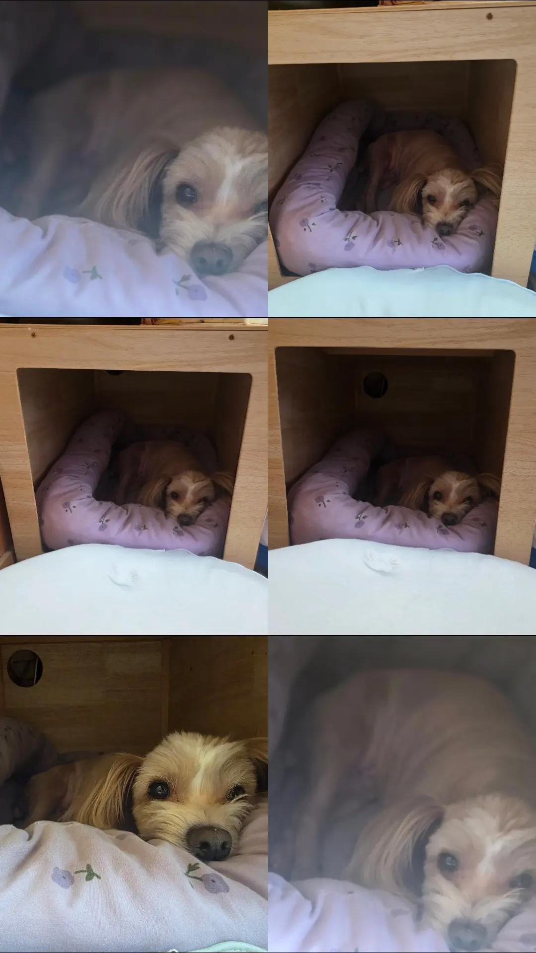 @봄이랑 헤이랑 뀨야랑