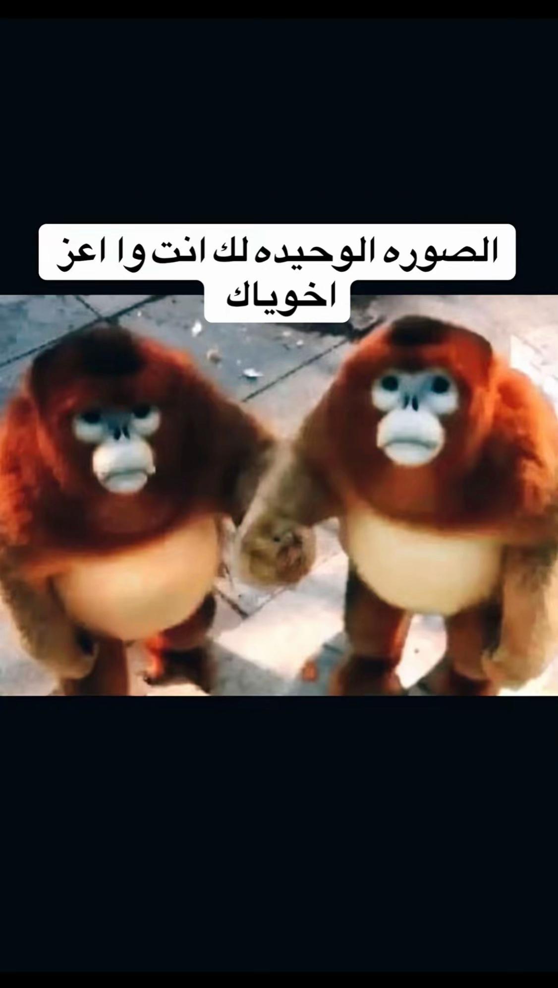 @TR