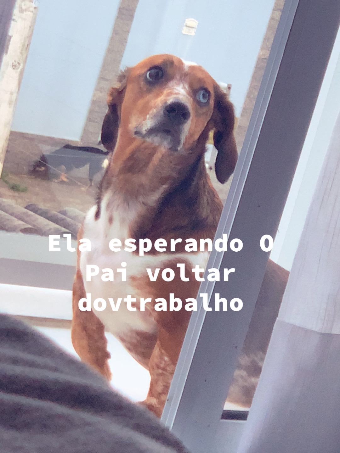 @elisa.divertida