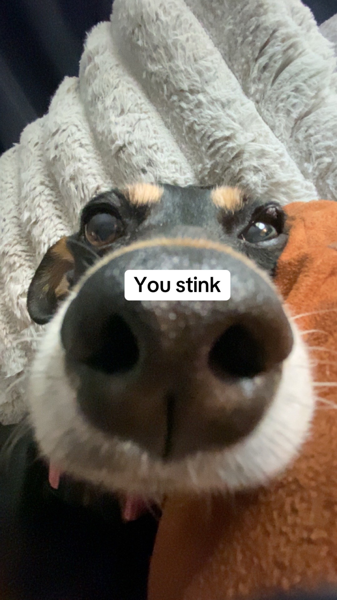 @Linda Longnips