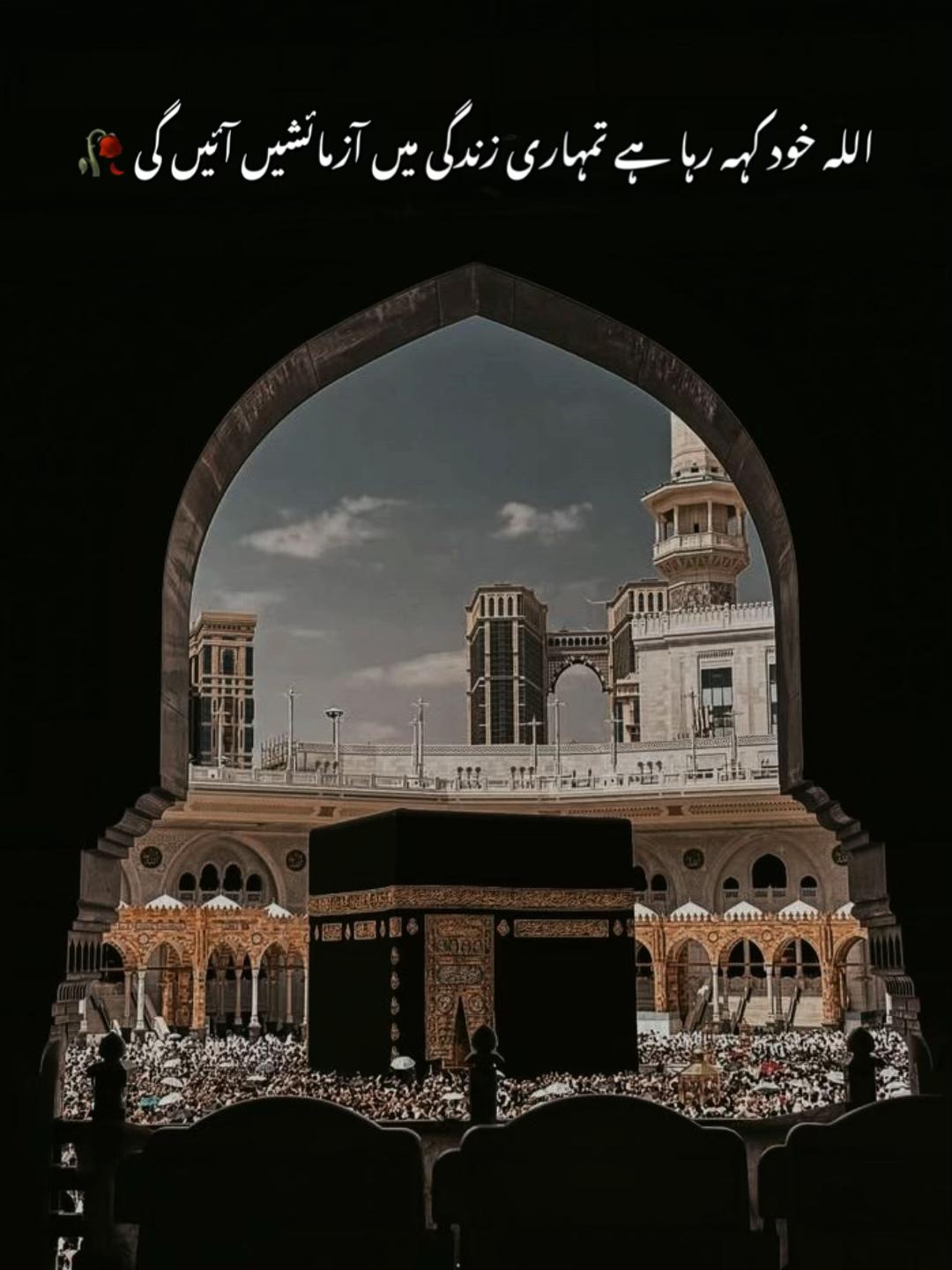 @چوہدری کہتے ہیں 👑💸