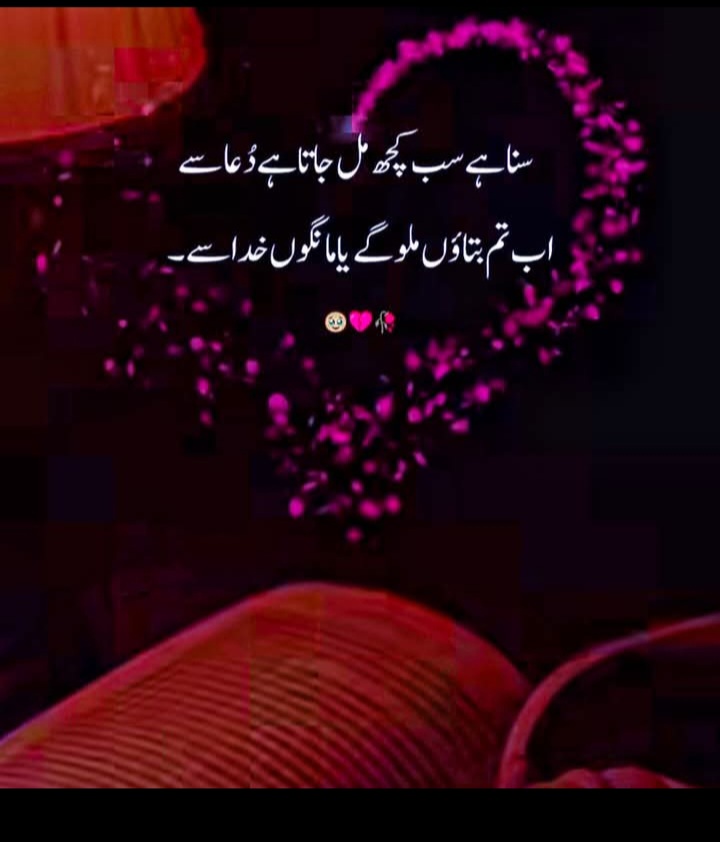 @Sahar Noor