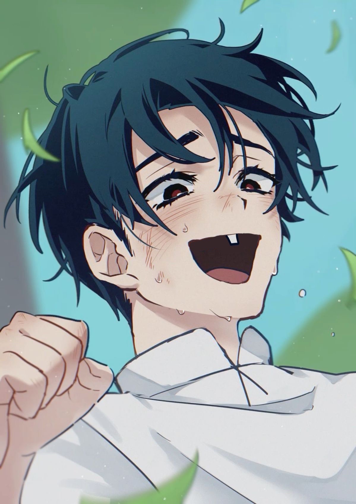 @✶reo