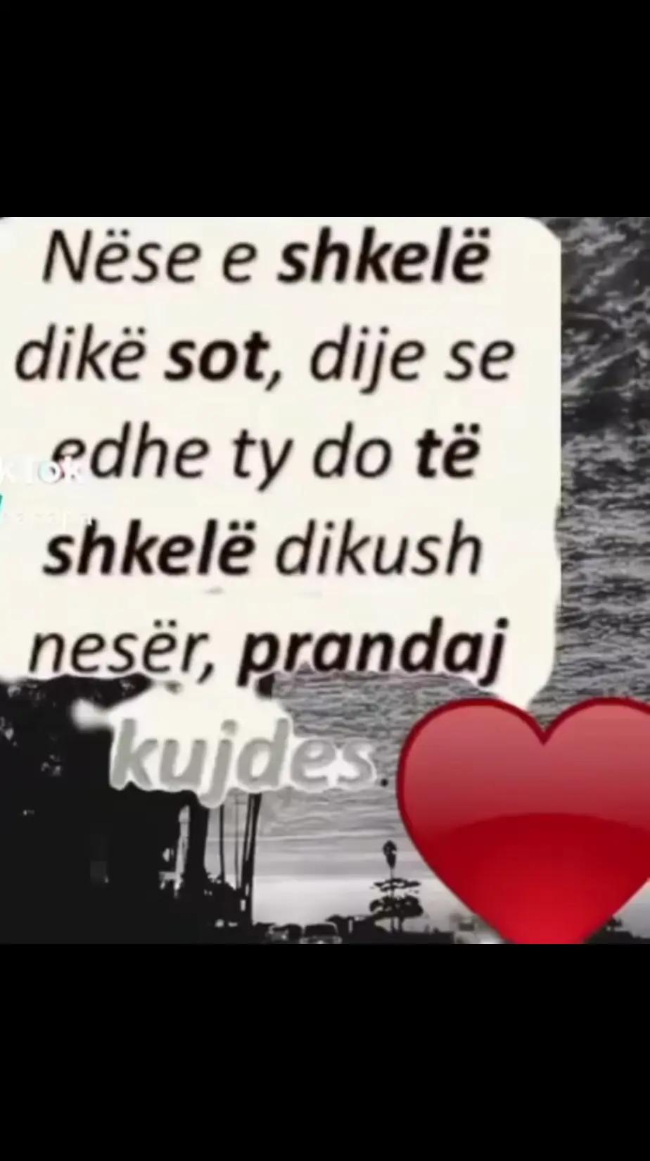 @tina nikolla