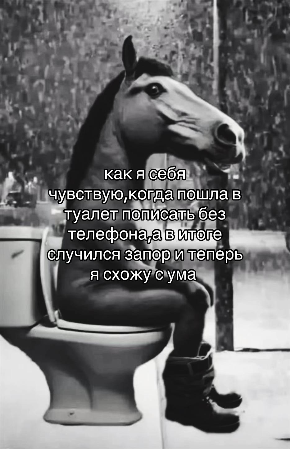 @мейби хмурая лапа
