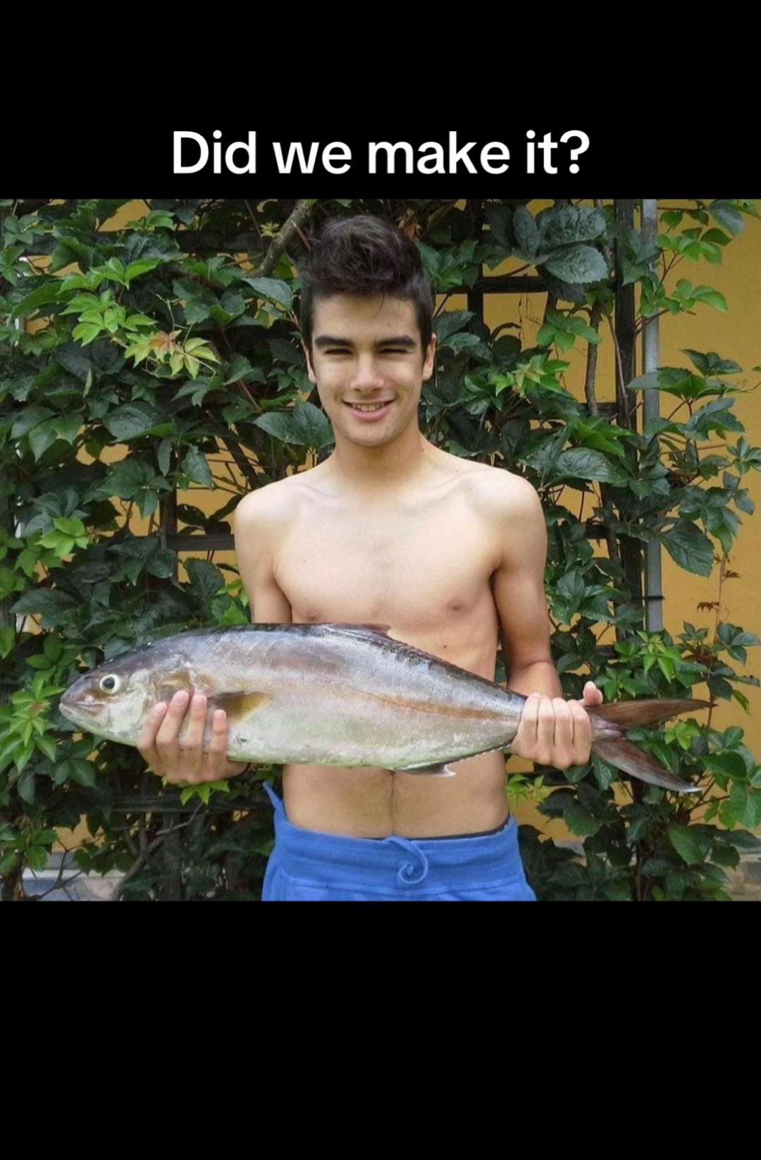 @pallis